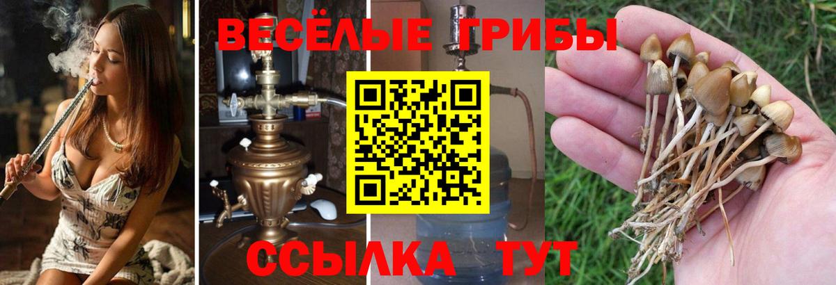 Псилоцибиновые грибы мухоморы  Галлюциногенные грибы GOLDEN TEACHER  Вход с VPN  дарнет шоп  Чистополь 