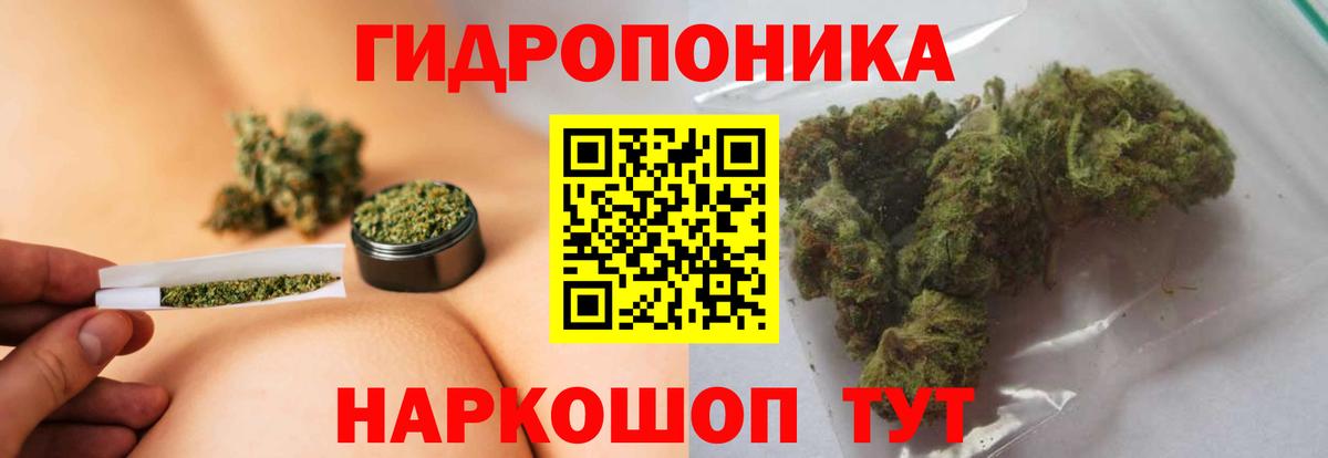 Канабис план Чистополь